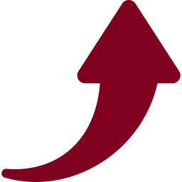 Holly Secrets Arrow icon